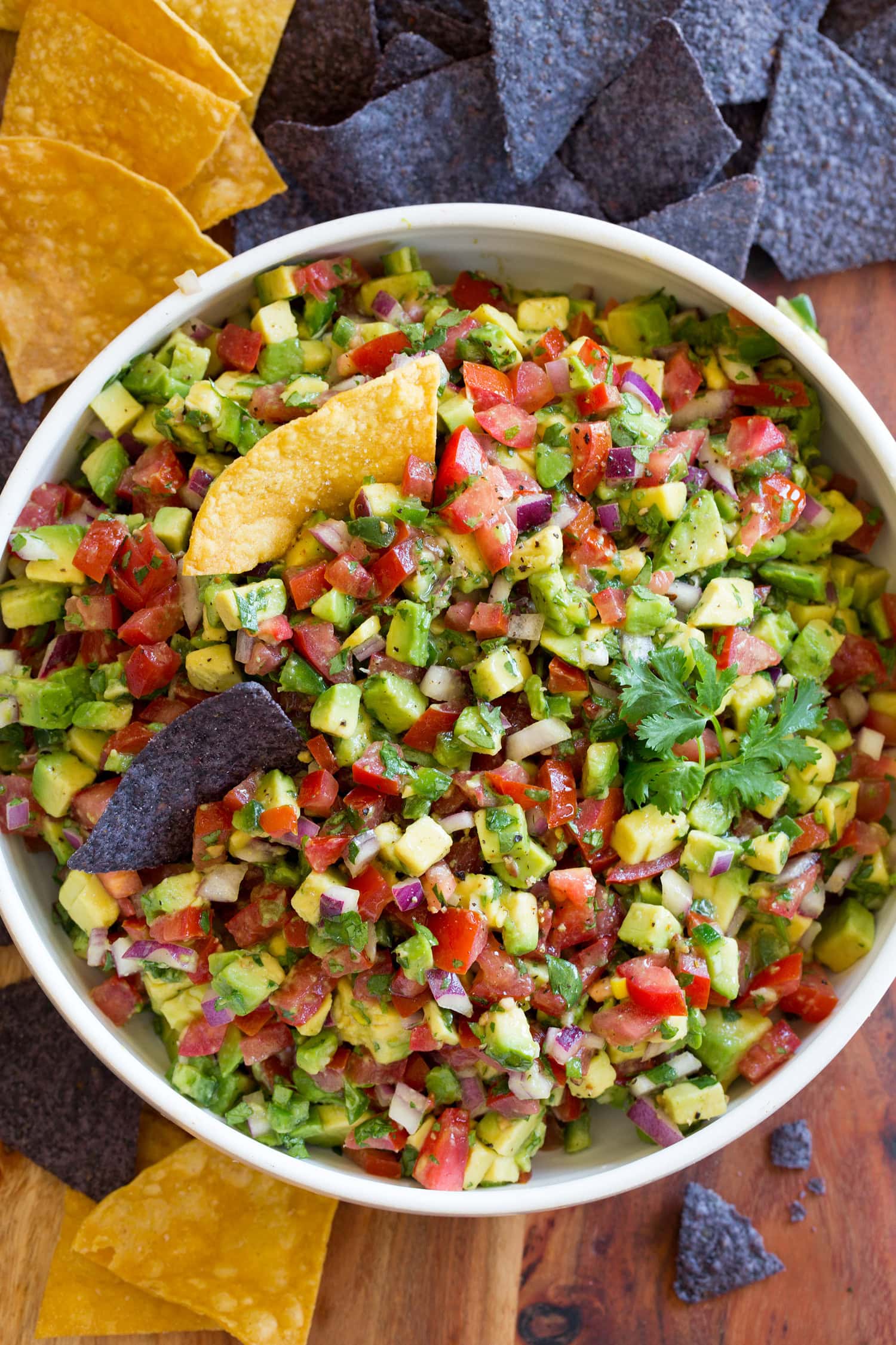 Close up overhead photo of avocado salsa with tomatoes, onions, jalapenos, and cilantro in a white bowl.