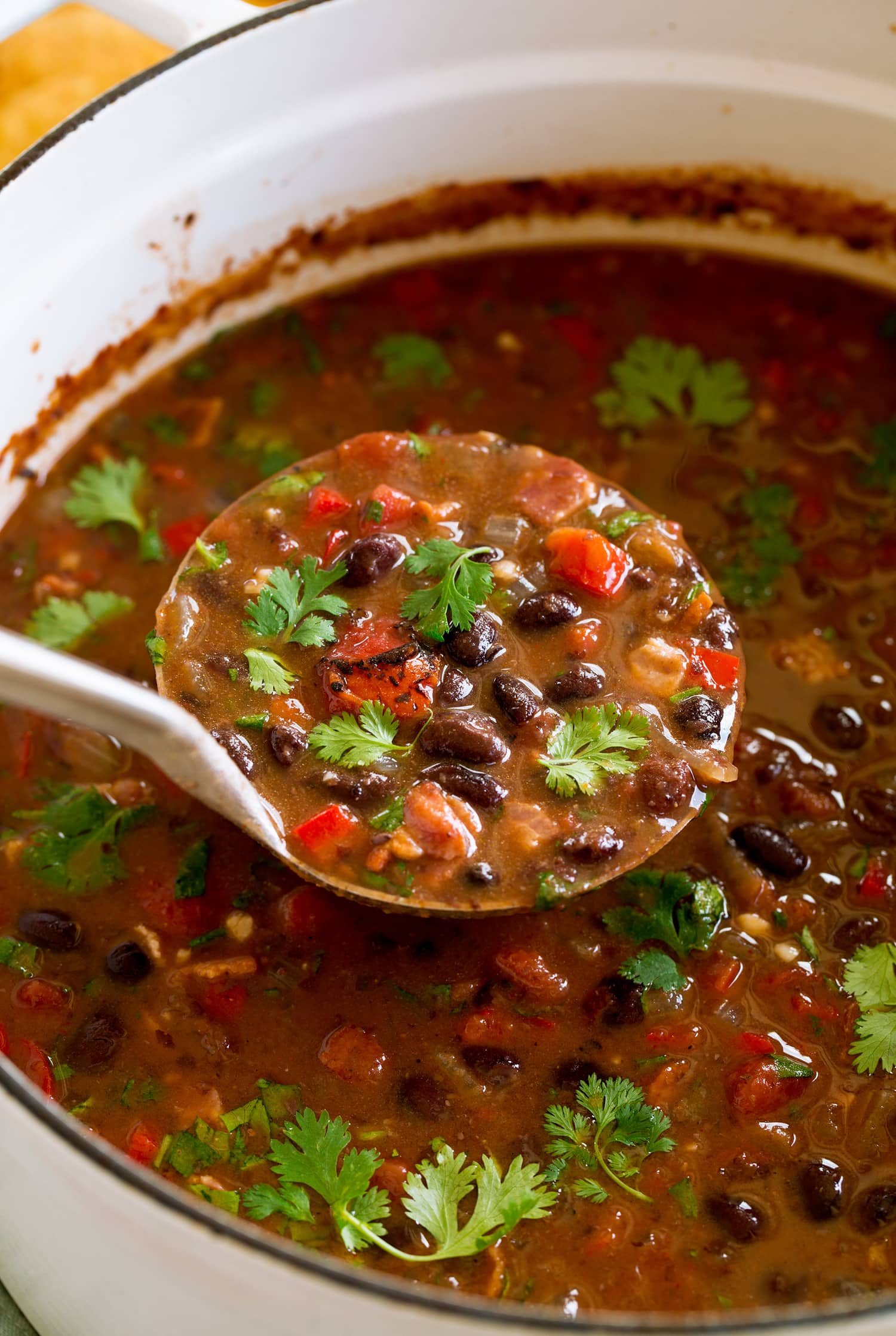 Ladle full of black bean soup.