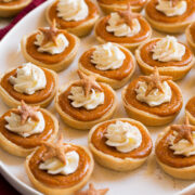 Platter filled with many mini pumpkin pies topped with whipped cream and cinnamon.