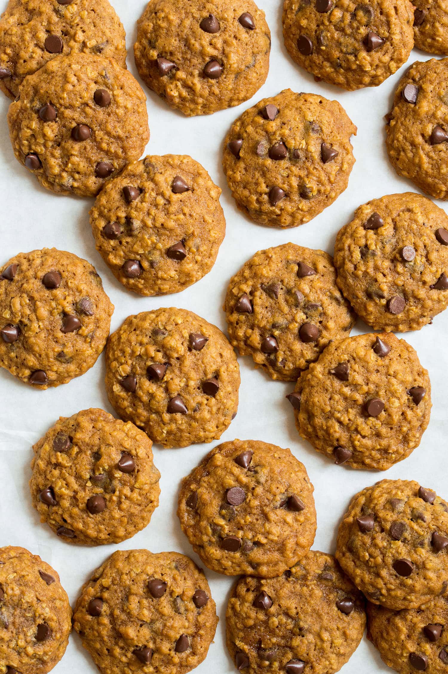 Pumpkin oatmeal cookies shown scattered from overhead.